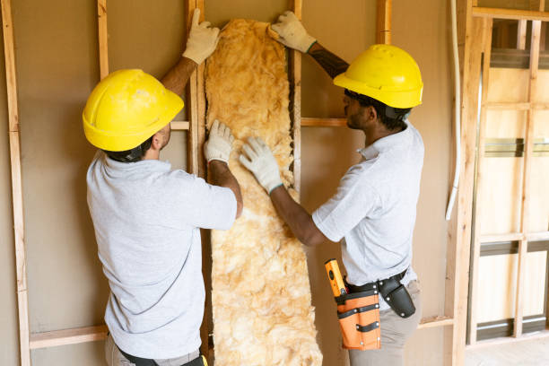 Professional Insulation Removal & Installation in Sparta, TN